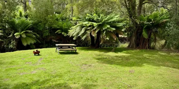 Cute Corner - Site 1