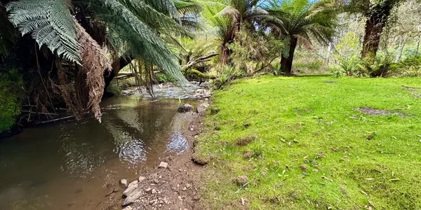 Camp 4 — Private Creekside Escape